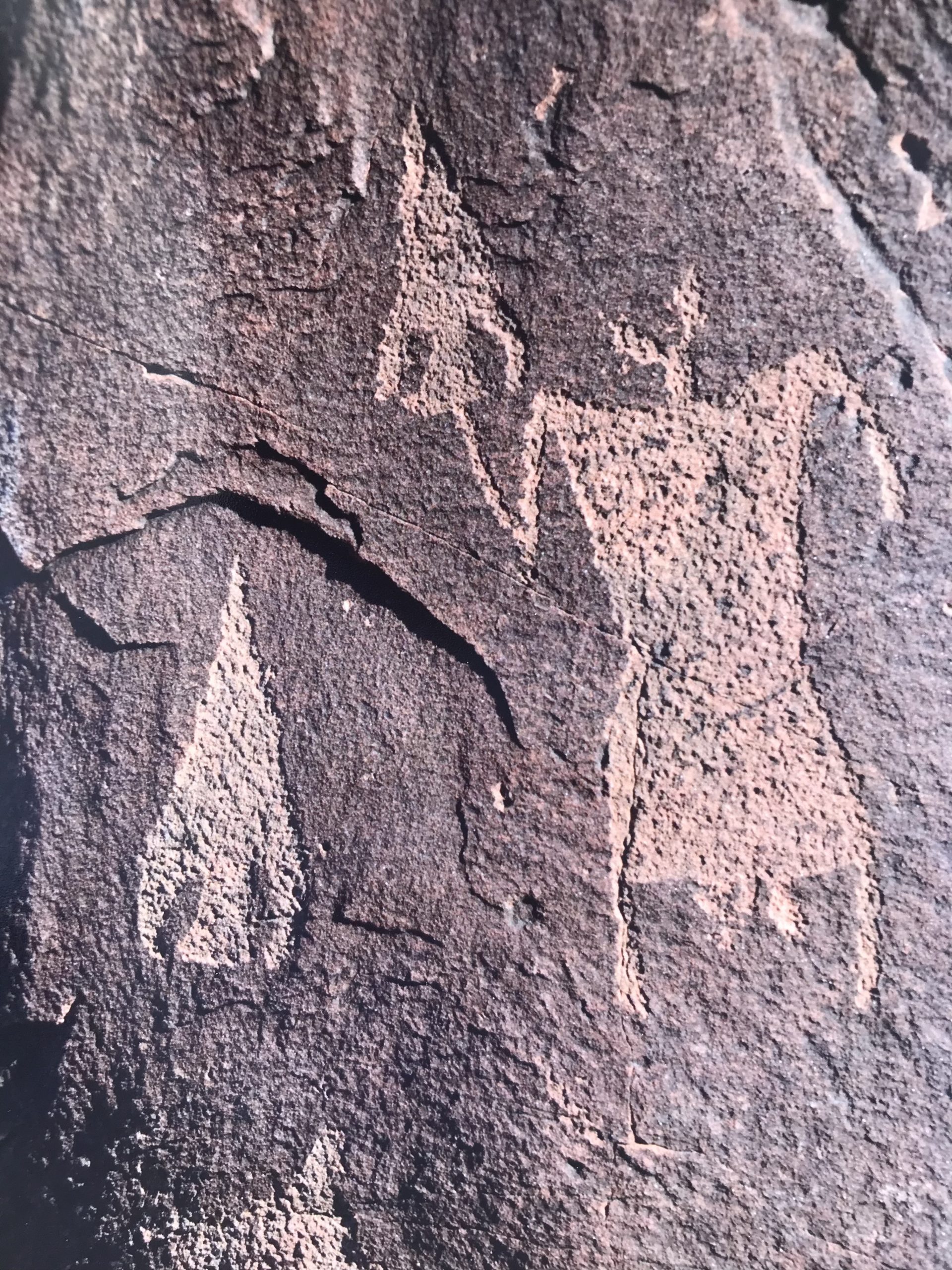 Explore Ancient Petroglyphs in Alamo Canyon, Ft. Hancock TX